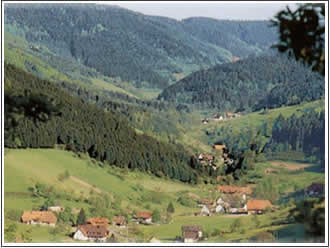 mitteltal 1